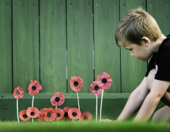 A young child places some handcrafted poppy flowers next to a green fence. 