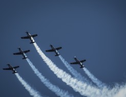 Photo 4 1