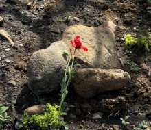 Remains3