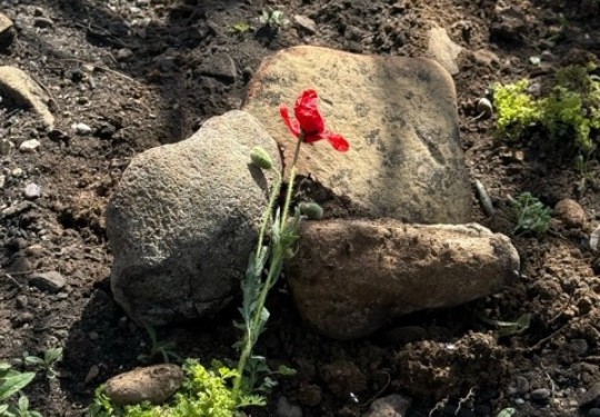 Remains3